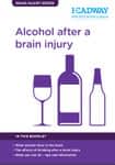 Alcohol after a brain injury booklet