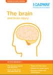 the brain and brain injury booklet graphic