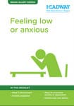 Feeling Low or Anxious Booklet